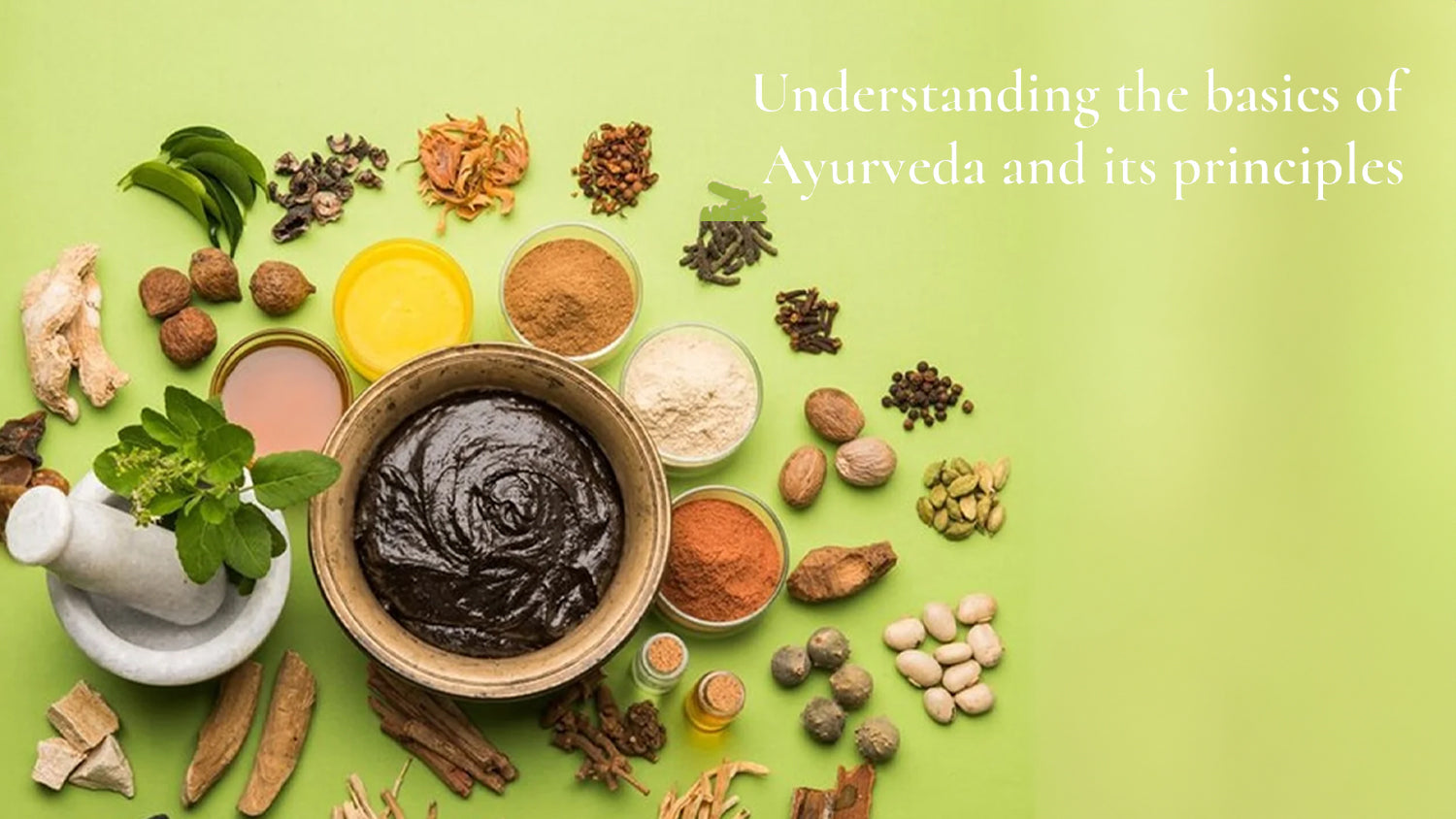 Understanding Ayurveda and Its Principles - A Definitive Guide